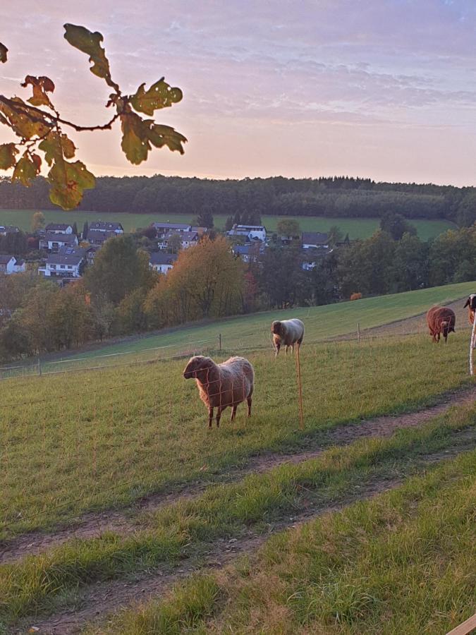 Andinas Ferienwohnung In Ruhiger Lage Direkt Am Wald Wilnsdorf Екстер'єр фото