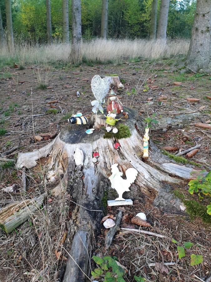Andinas Ferienwohnung In Ruhiger Lage Direkt Am Wald Wilnsdorf Екстер'єр фото
